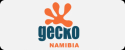 Gecko Namibia